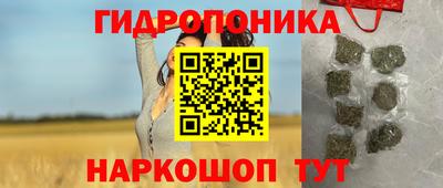 Альфа ПВП Гатчина