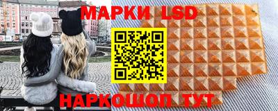 дживик Гай