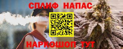 Альфа ПВП Гатчина