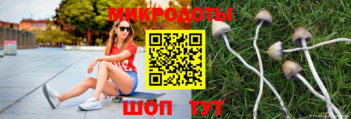 Трёхгорный  Галлюциногенные грибы MAGIC MUSHROOMS  Вход с VPN  Галлюциногенные грибы Psilocybe 
